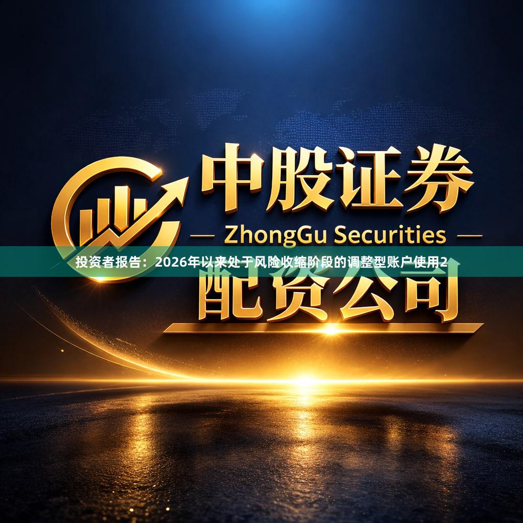 投资者报告:2026年以来处于风险收缩阶段的调整型账户使用2