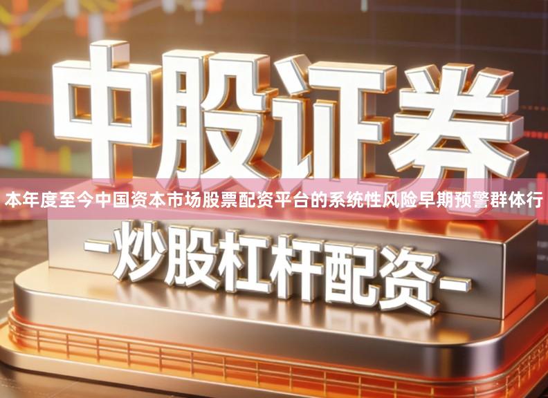 本年度至今中国资本市场股票配资平台的系统性风险早期预警群体行