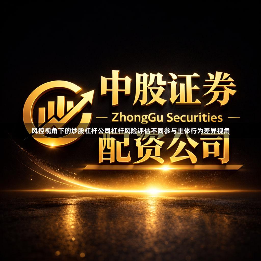 风控视角下的炒股杠杆公司杠杆风险评估不同参与主体行为差异视角