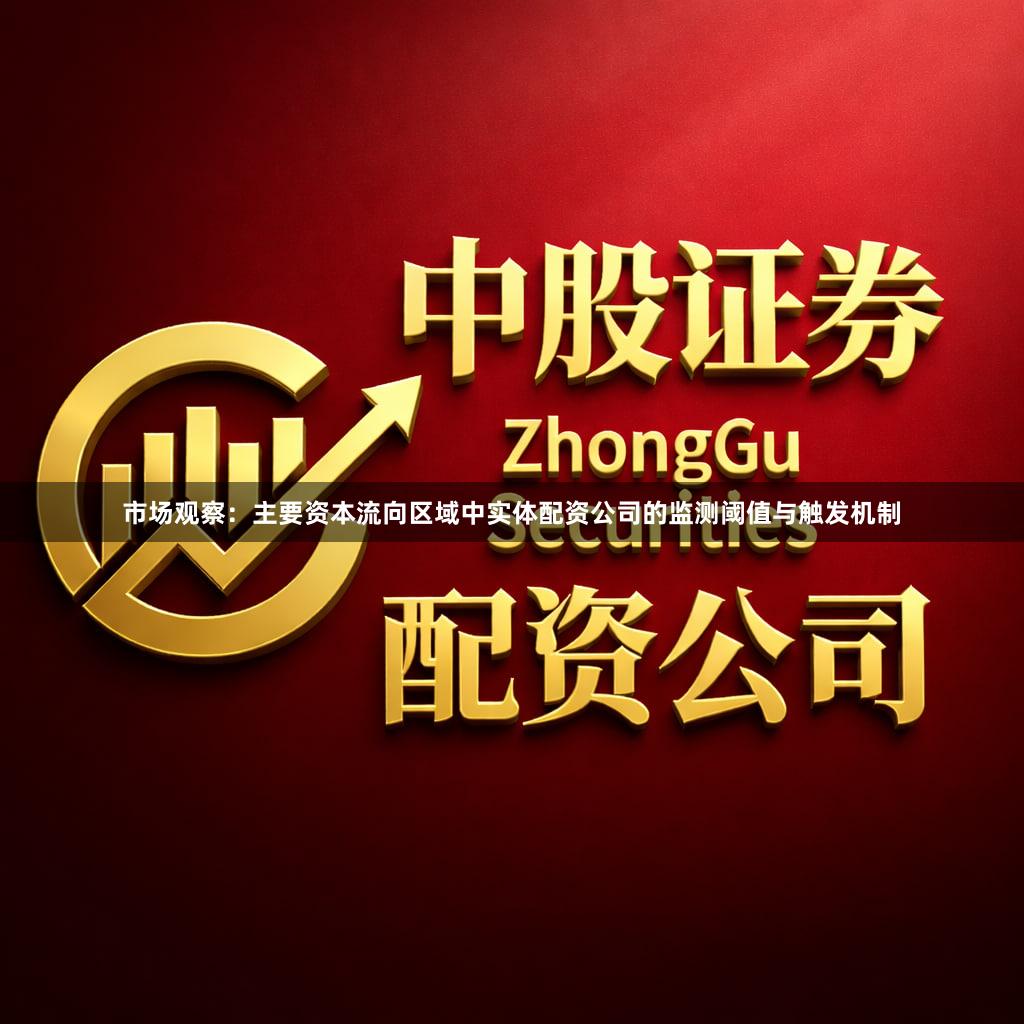 市场观察：主要资本流向区域中实体配资公司的监测阈值与触发机制