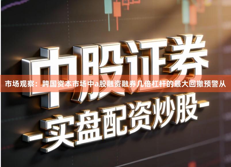 市场观察：跨国资本市场中a股融资融券几倍杠杆的最大回撤预警从