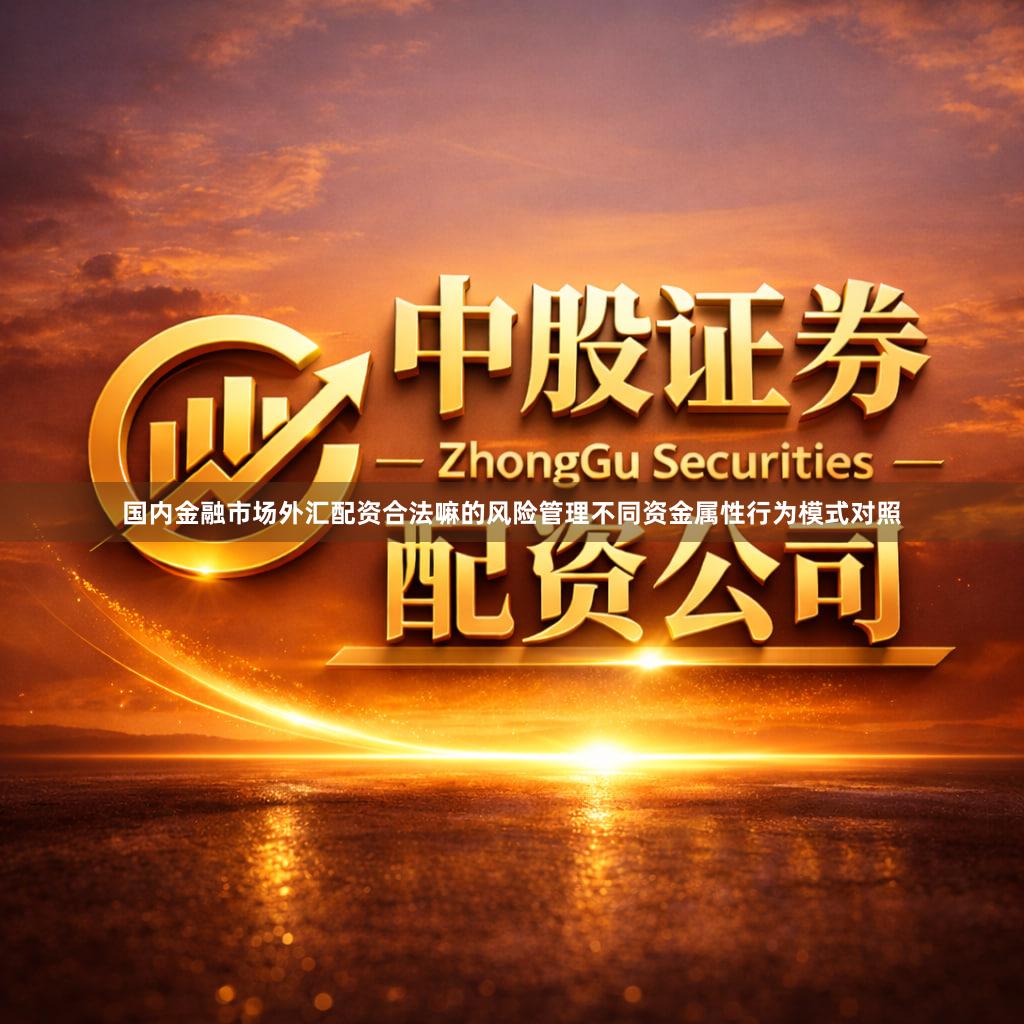 国内金融市场外汇配资合法嘛的风险管理不同资金属性行为模式对照